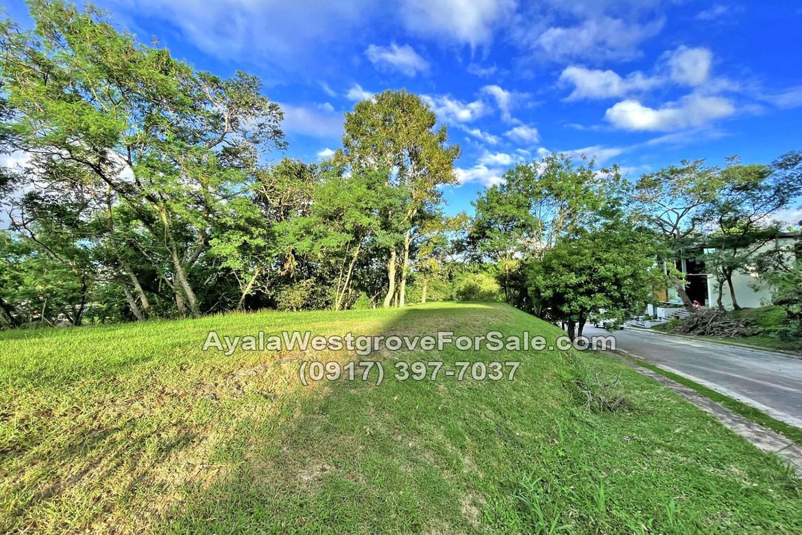 Land for Sale in Ayala Westgrove Heights, Inchican, Silang, Cavite – photo 7