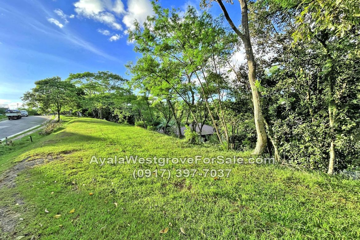 Land for Sale in Ayala Westgrove Heights, Inchican, Silang, Cavite – photo 8
