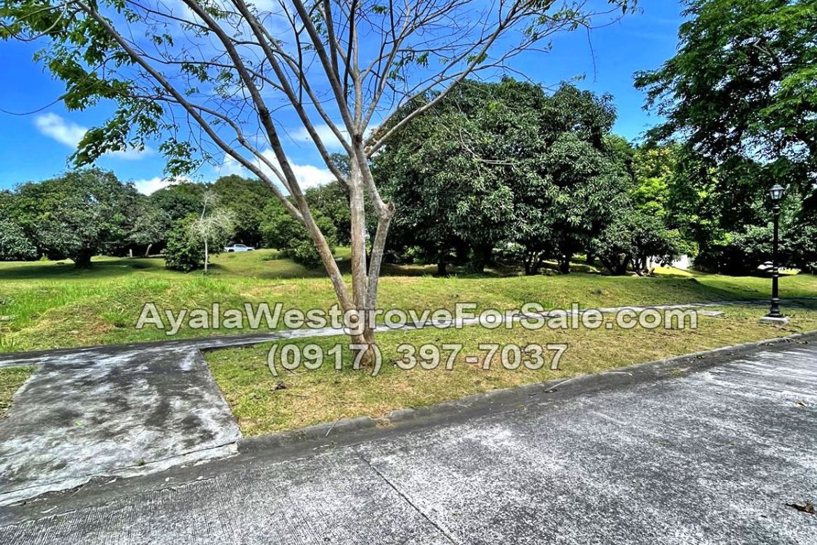 Land for Sale in Ayala Westgrove Heights, Inchican, Silang, Cavite – photo 5
