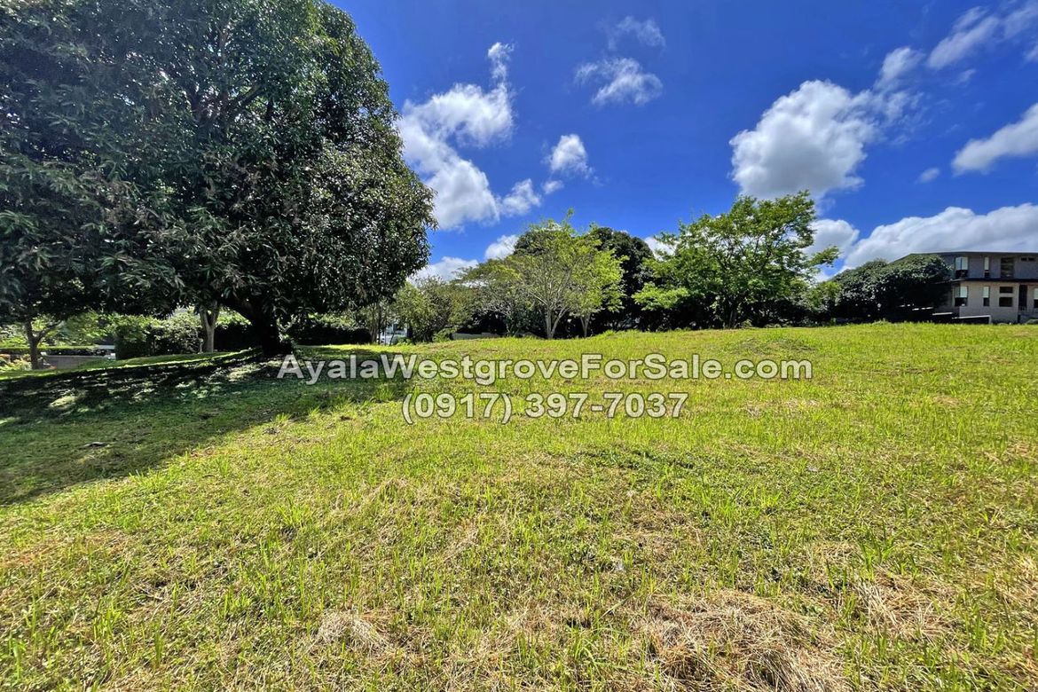 Land for Sale in Ayala Westgrove Heights, Inchican, Silang, Cavite – photo 8