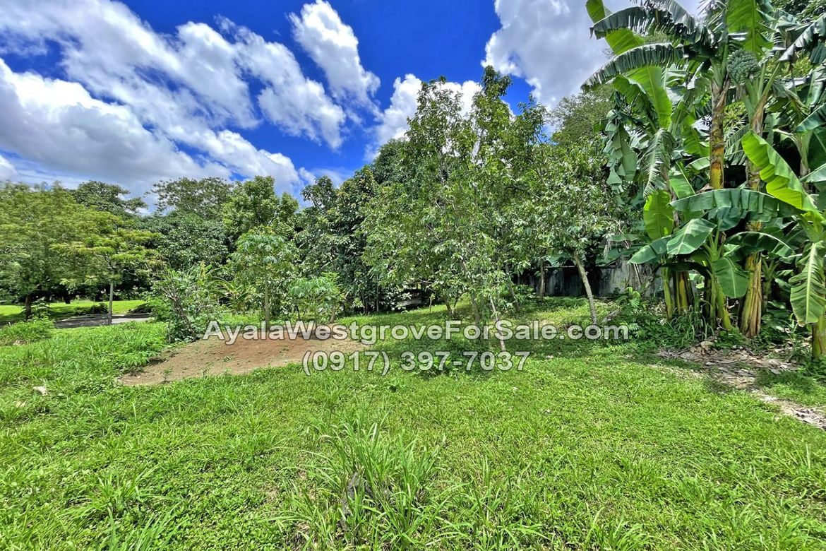 Land for Sale in Ayala Westgrove Heights, Inchican, Silang, Cavite – photo 2