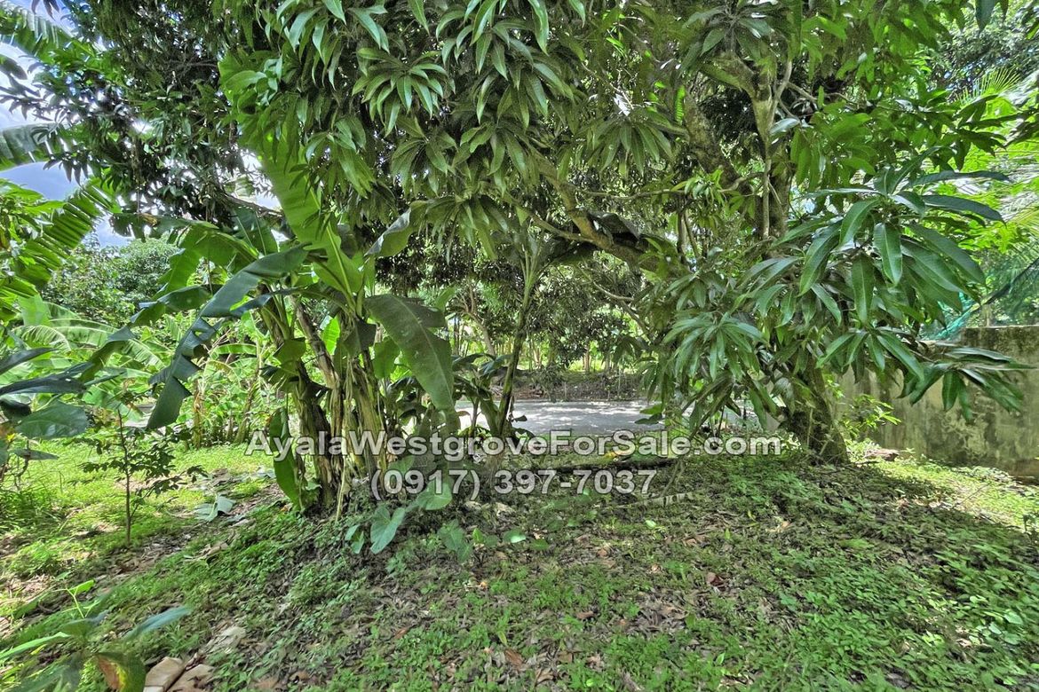 Land for Sale in Ayala Westgrove Heights, Inchican, Silang, Cavite – photo 3