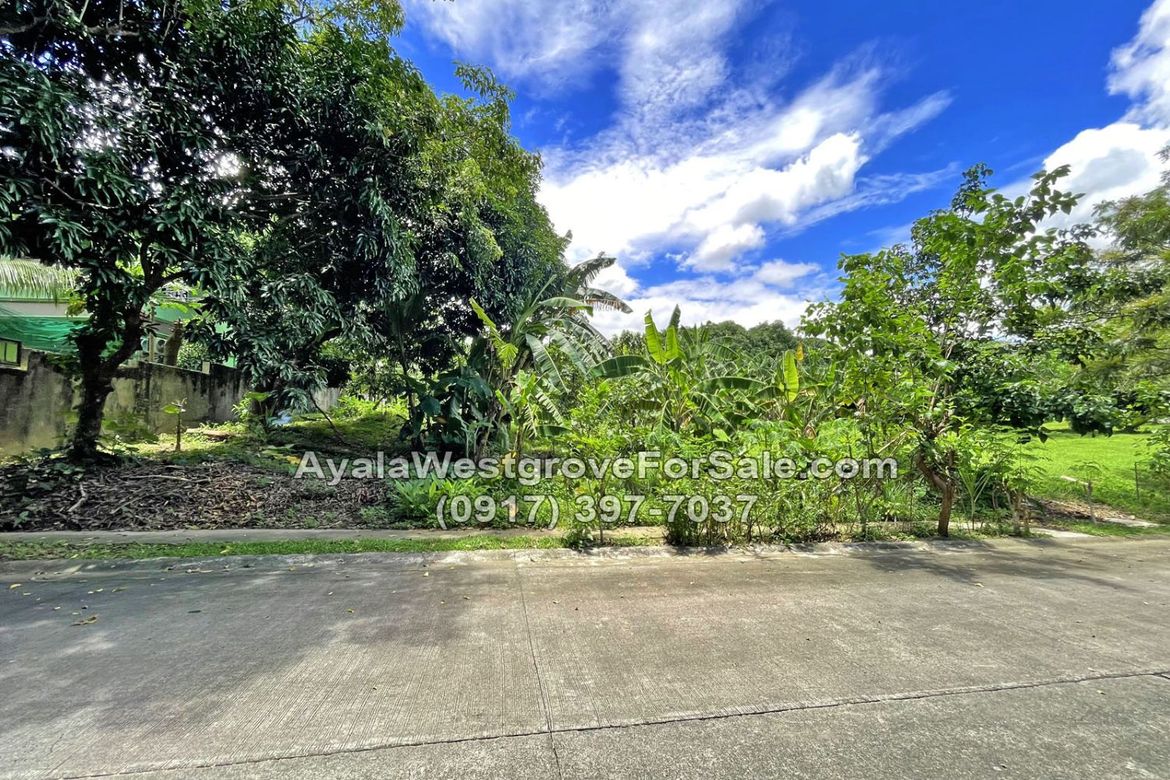 Land for Sale in Ayala Westgrove Heights, Inchican, Silang, Cavite – photo 8