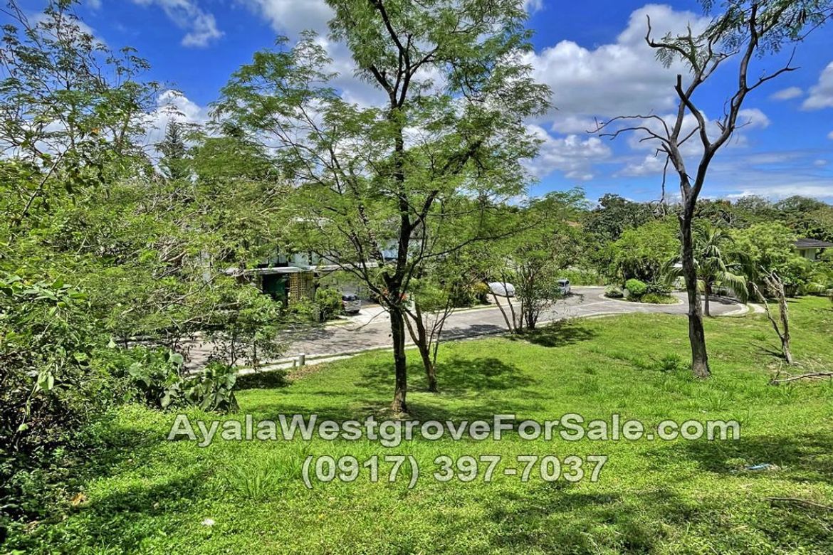 Land for Sale in Ayala Westgrove Heights, Inchican, Silang, Cavite