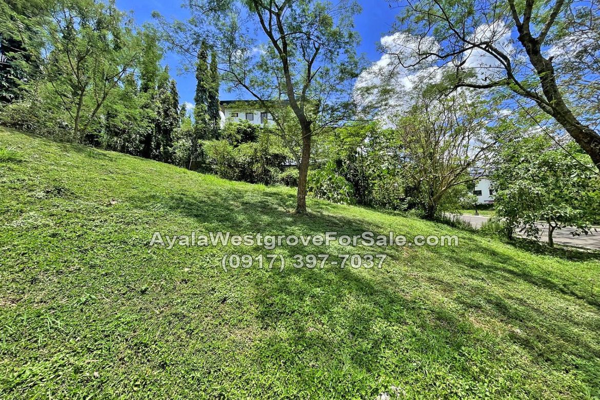 Land for Sale in Ayala Westgrove Heights, Inchican, Silang, Cavite – photo 4
