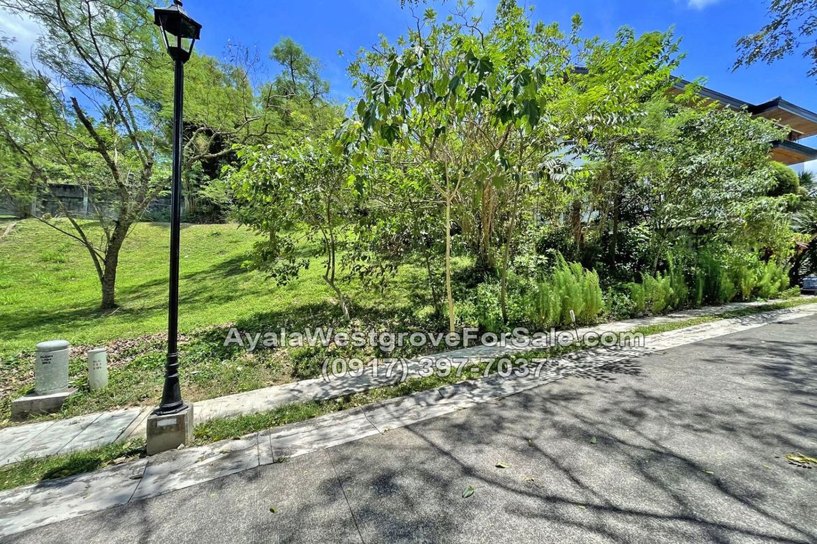 Land for Sale in Ayala Westgrove Heights, Inchican, Silang, Cavite – photo 6