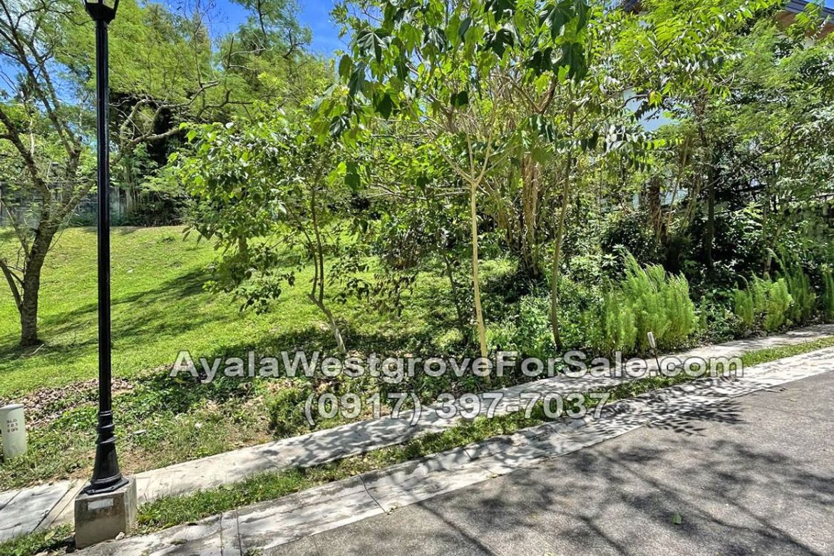 Land for Sale in Ayala Westgrove Heights, Inchican, Silang, Cavite – photo 7