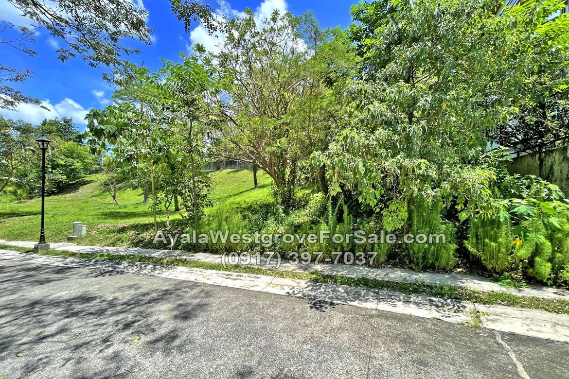 Land for Sale in Ayala Westgrove Heights, Inchican, Silang, Cavite – photo 8