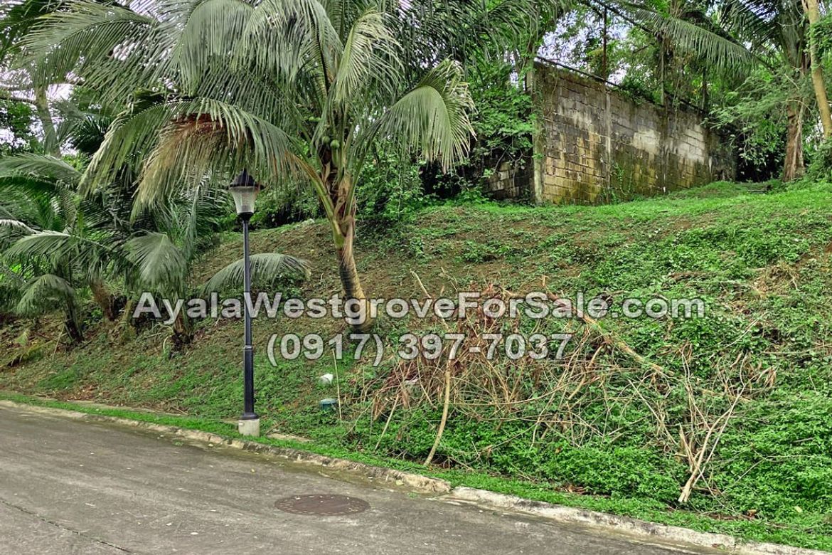 Land for Sale in Ayala Westgrove Heights, Inchican, Silang, Cavite – photo 3