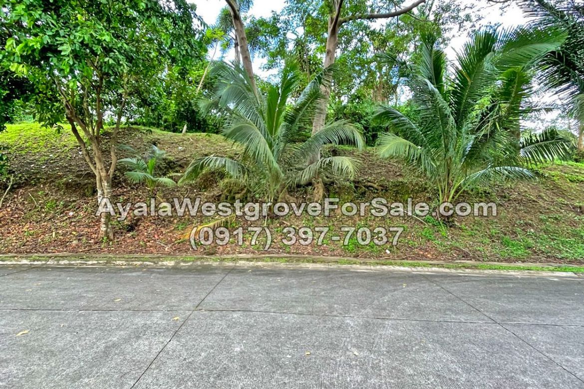 Land for Sale in Ayala Westgrove Heights, Inchican, Silang, Cavite – photo 4