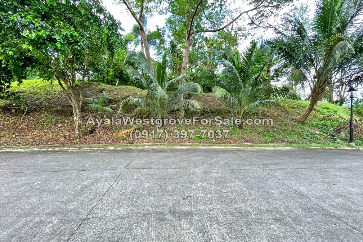 Land for Sale in Ayala Westgrove Heights, Inchican, Silang, Cavite – photo 6