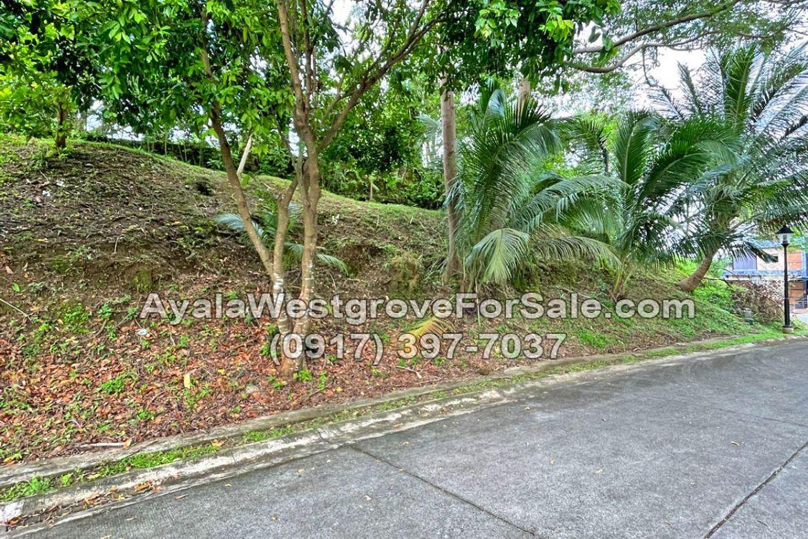 Land for Sale in Ayala Westgrove Heights, Inchican, Silang, Cavite – photo 7