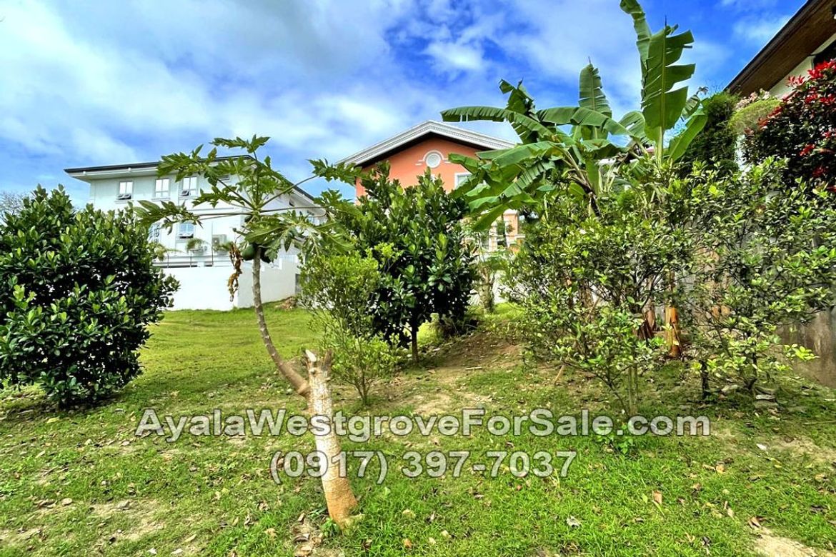 Land for Sale in Ayala Westgrove Heights, Inchican, Silang, Cavite – photo 7
