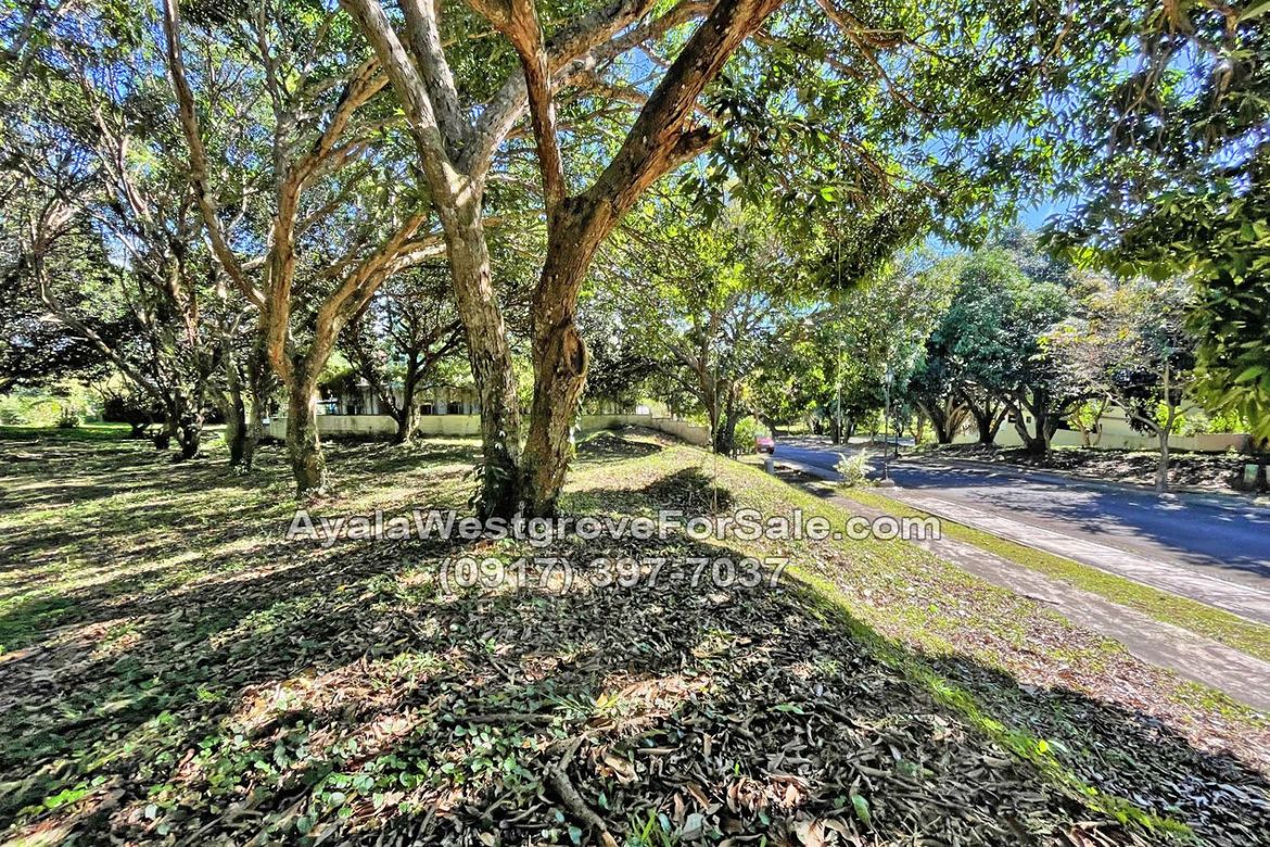 Land for Sale in Ayala Westgrove Heights, Inchican, Silang, Cavite – photo 2
