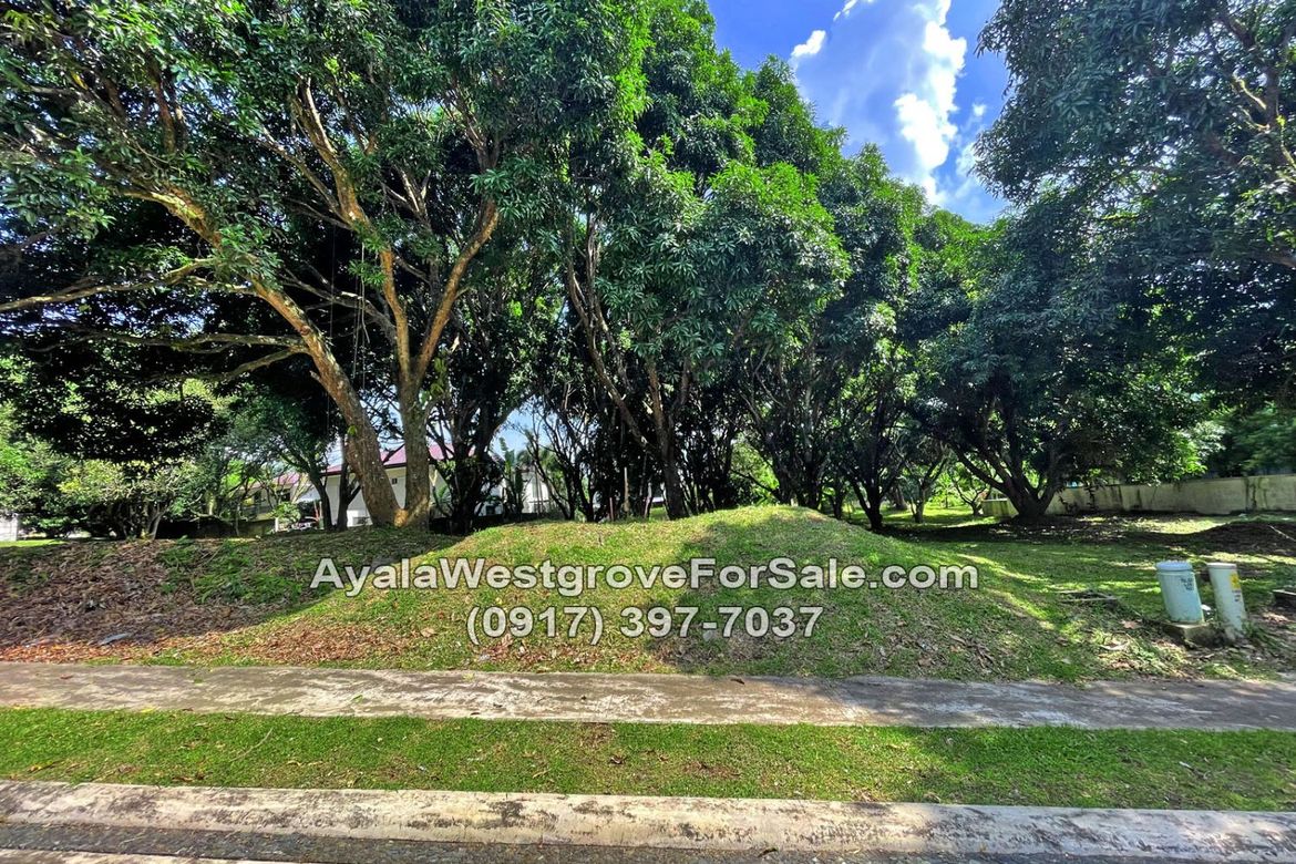 Land for Sale in Ayala Westgrove Heights, Inchican, Silang, Cavite – photo 6
