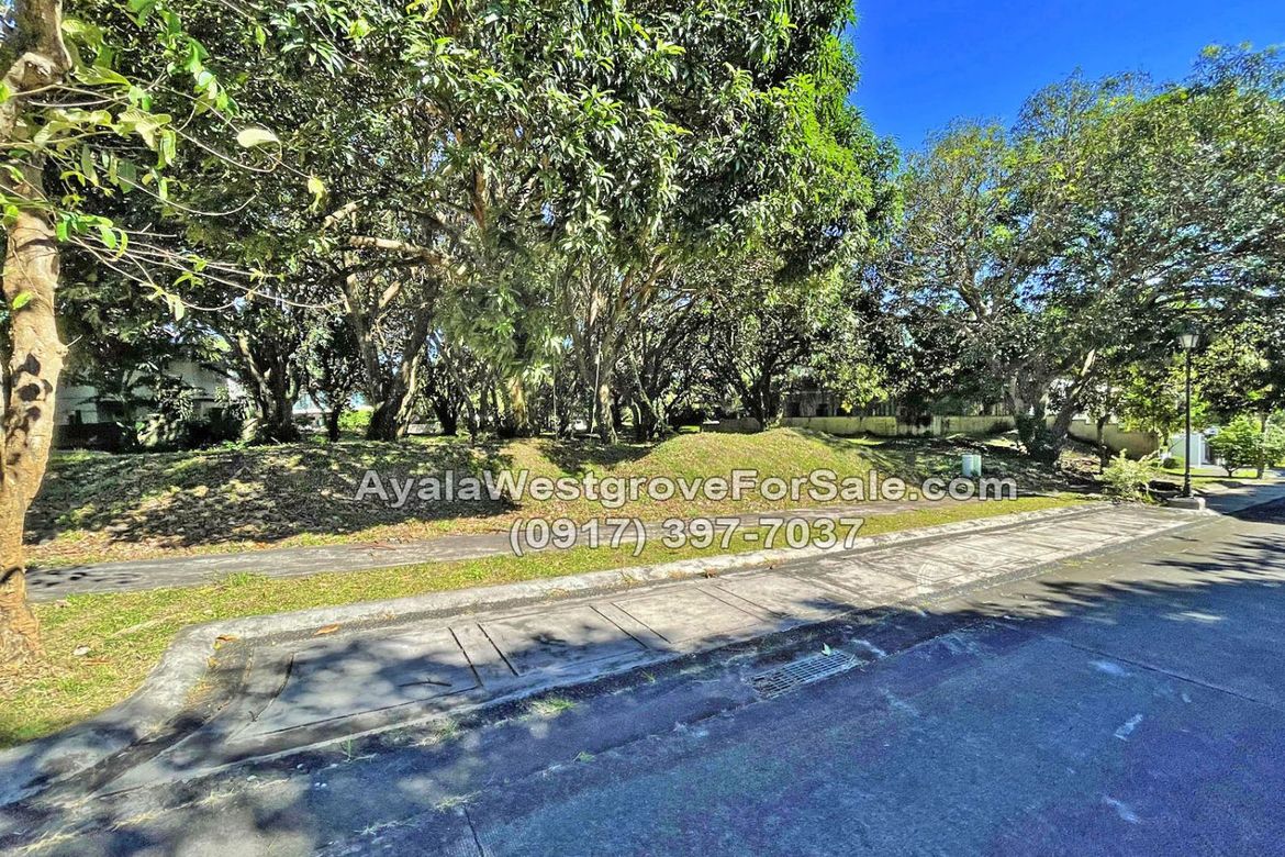 Land for Sale in Ayala Westgrove Heights, Inchican, Silang, Cavite – photo 8