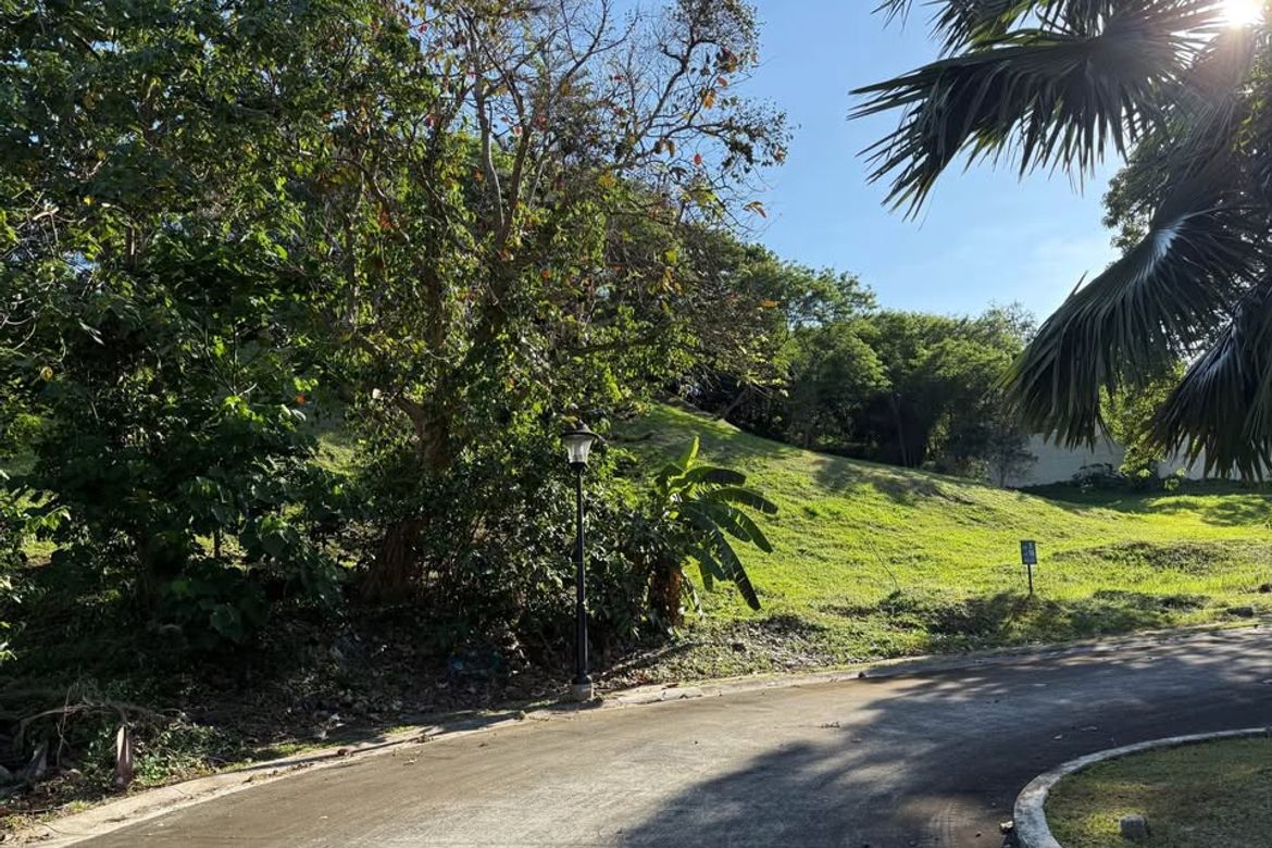 Land for Sale in Ayala Westgrove Heights, Inchican, Silang, Cavite – photo 3
