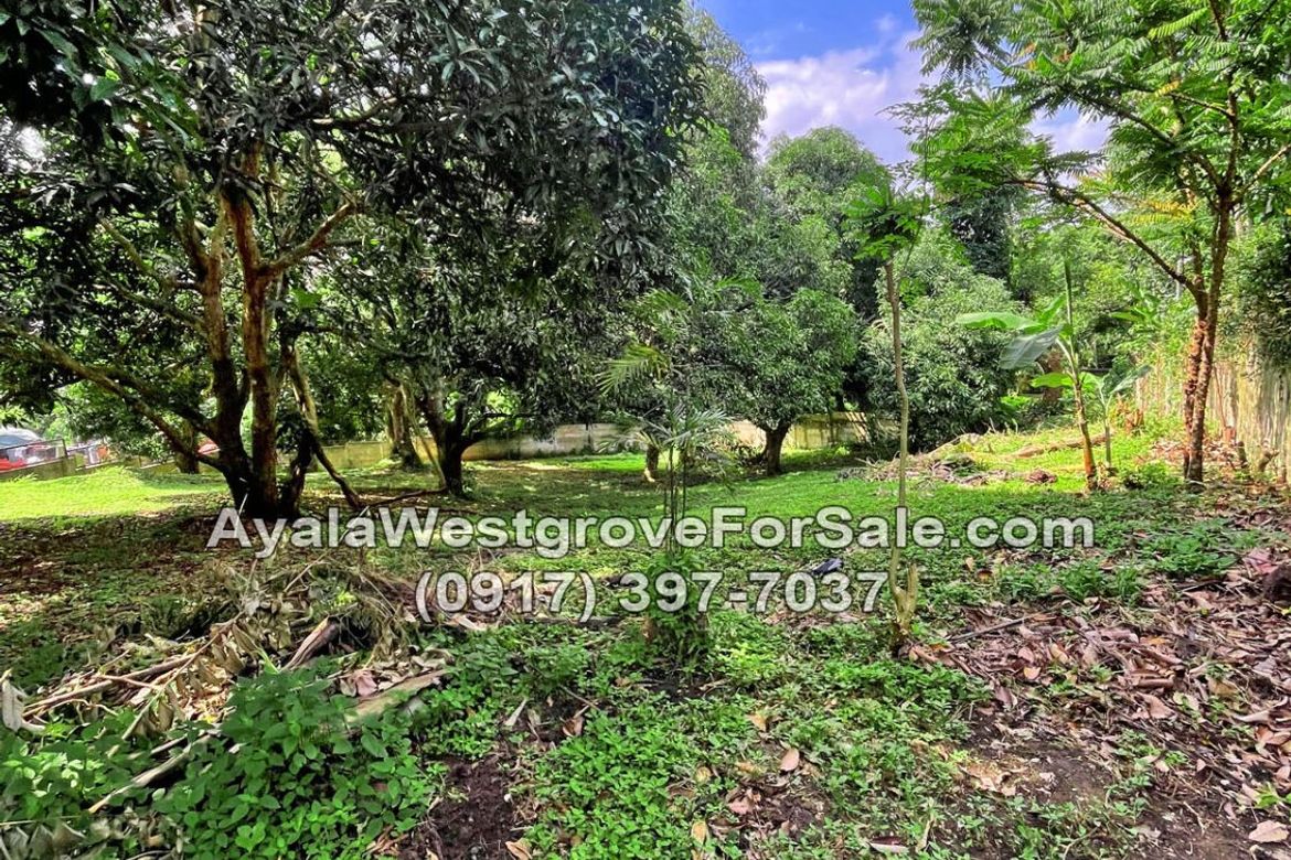Land for Sale in Ayala Westgrove Heights, Inchican, Silang, Cavite – photo 2