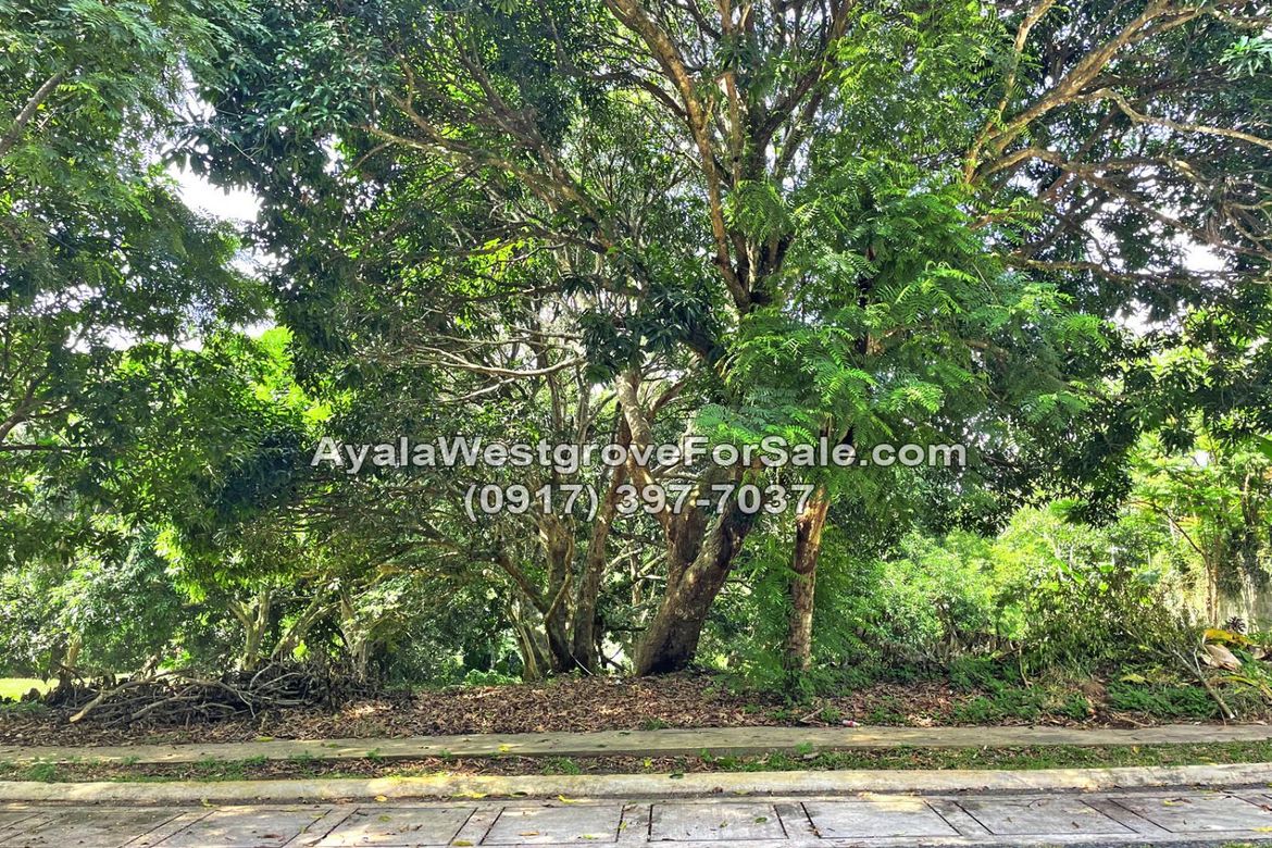 Land for Sale in Ayala Westgrove Heights, Inchican, Silang, Cavite – photo 4