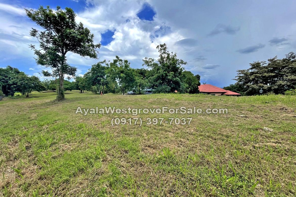 Land for Sale in Ayala Westgrove Heights, Inchican, Silang, Cavite