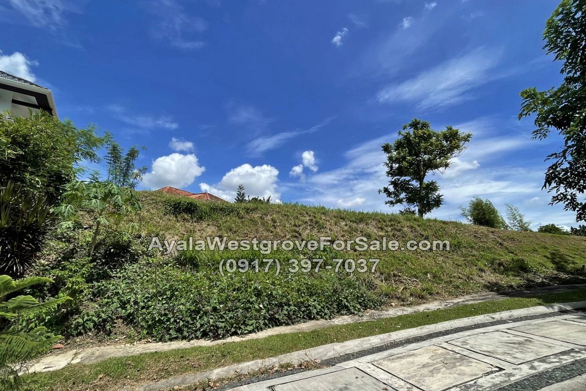 Land for Sale in Ayala Westgrove Heights, Inchican, Silang, Cavite – photo 5