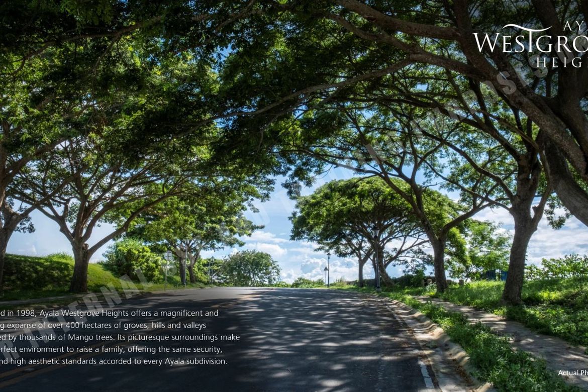 Land for Sale in Ayala Westgrove Heights, Inchican, Silang, Cavite – photo 8