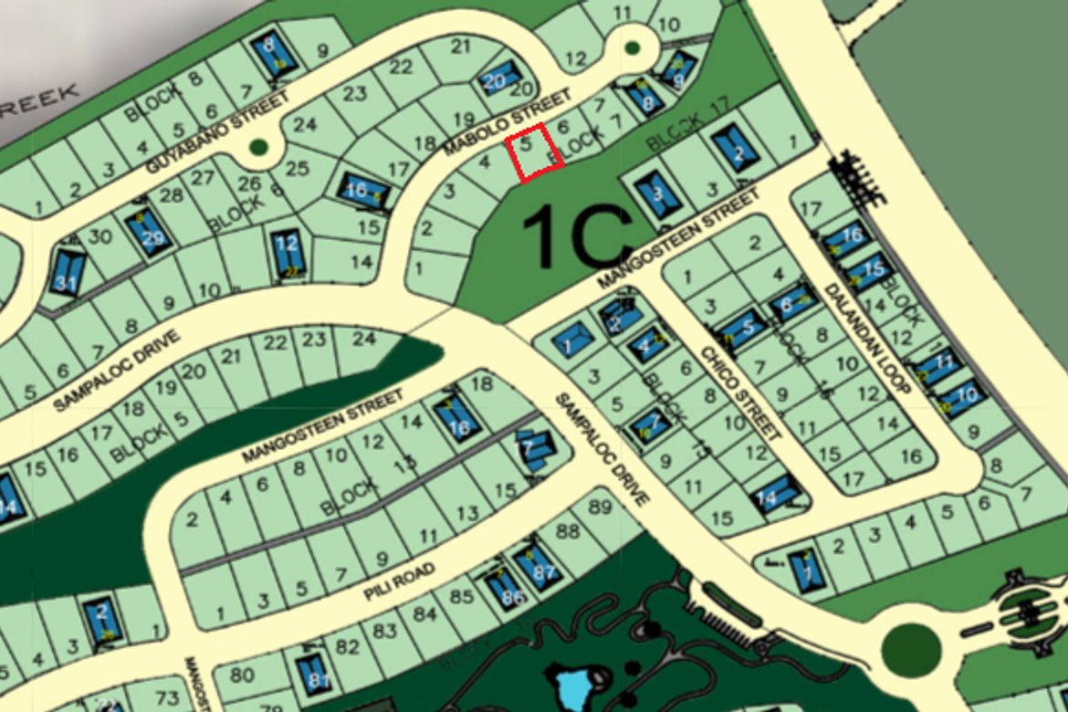 Land for Sale in Ayala Westgrove Heights, Inchican, Silang, Cavite – photo 4