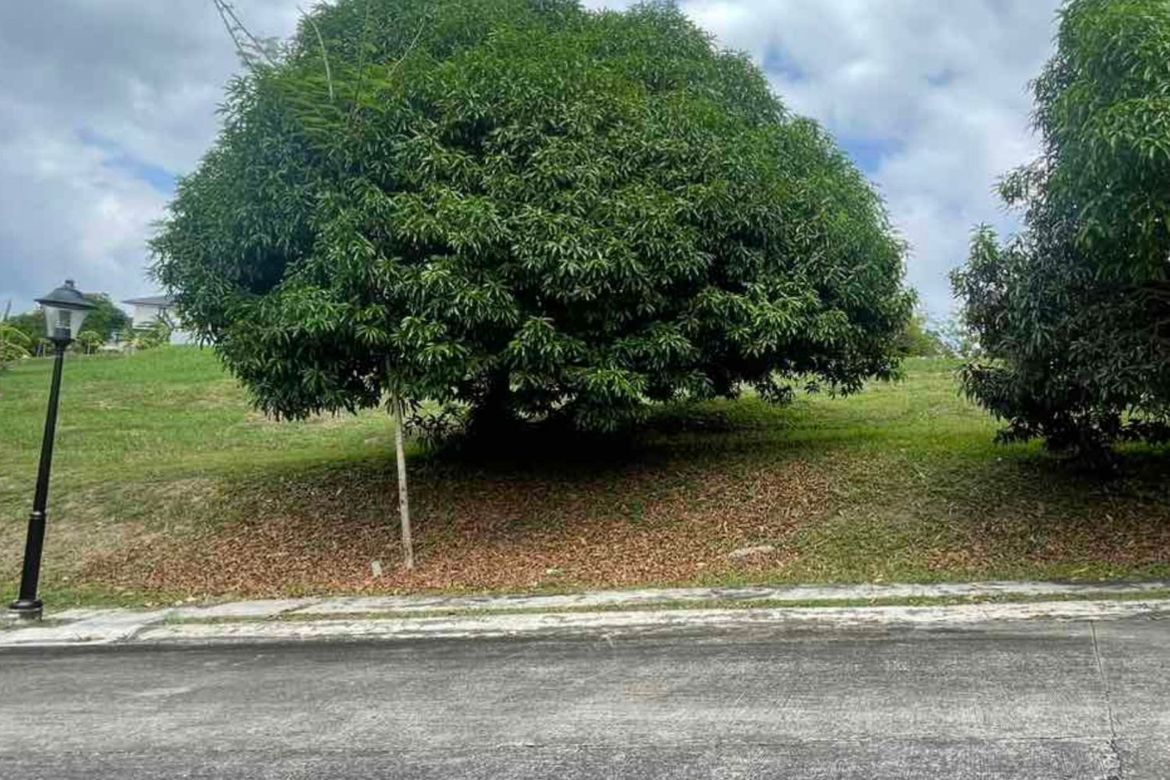 Land for Sale in Ayala Westgrove Heights, Inchican, Silang, Cavite – photo 2