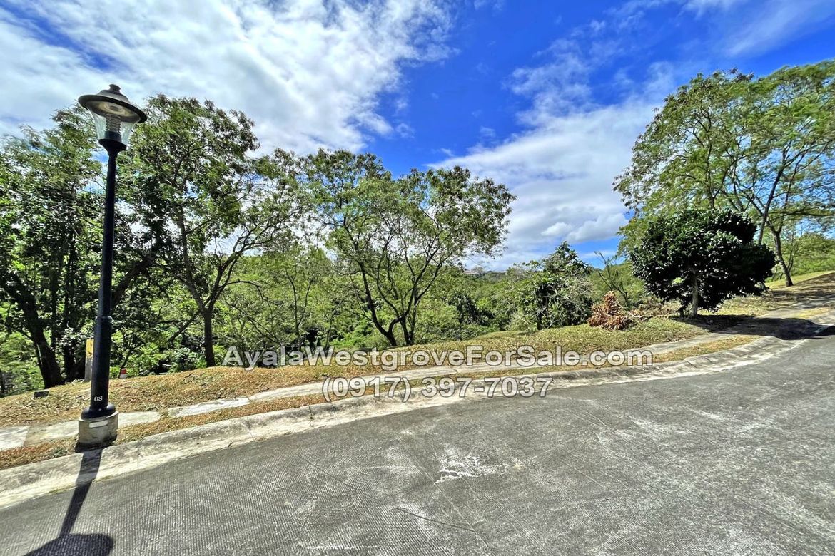 Land for Sale in Ayala Westgrove Heights, Inchican, Silang, Cavite