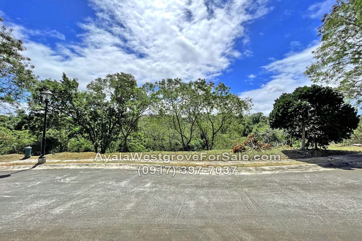 Land for Sale in Ayala Westgrove Heights, Inchican, Silang, Cavite – photo 2