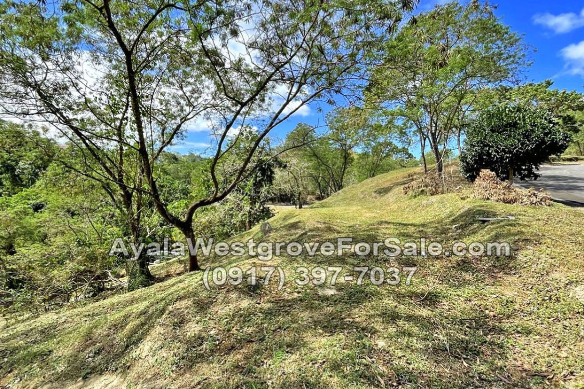 Land for Sale in Ayala Westgrove Heights, Inchican, Silang, Cavite – photo 4