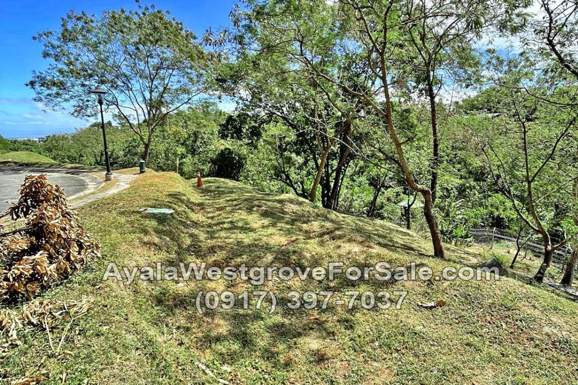 Land for Sale in Ayala Westgrove Heights, Inchican, Silang, Cavite – photo 8