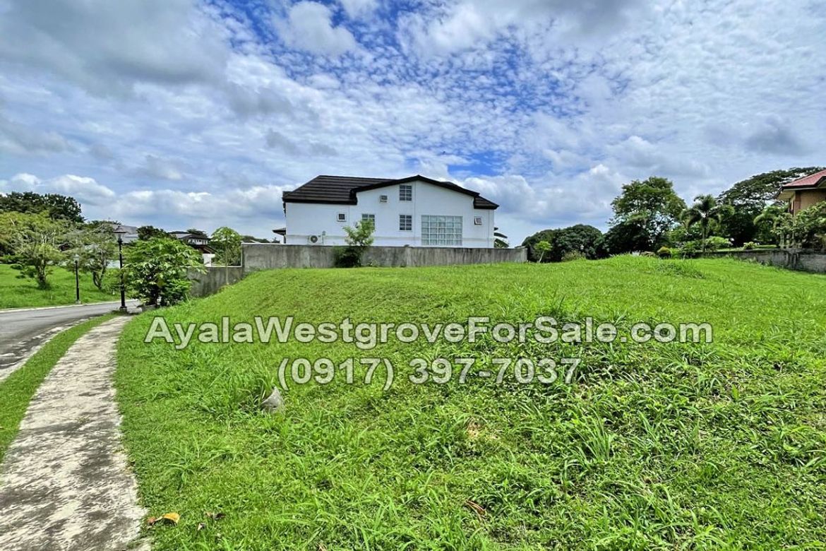Land for Sale in Ayala Westgrove Heights, Inchican, Silang, Cavite – photo 6