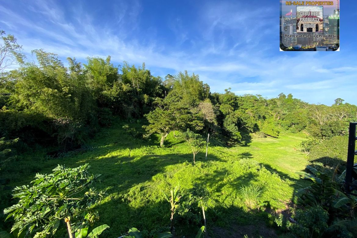 Land for Sale in Babag, Cebu City, Cebu