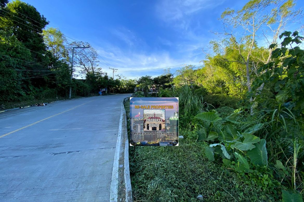Land for Sale in Babag, Cebu City, Cebu – photo 6