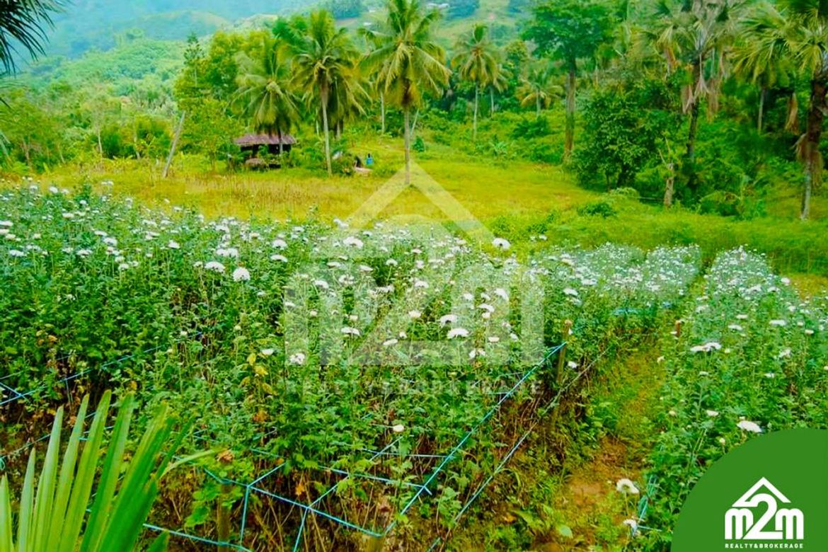 Land for Sale in Babag, Cebu City, Cebu