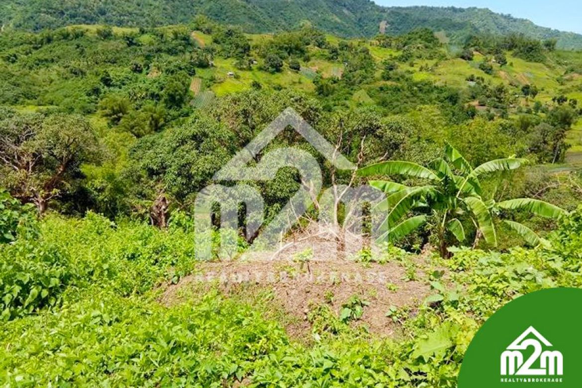 Land for Sale in Babag, Cebu City, Cebu – photo 3
