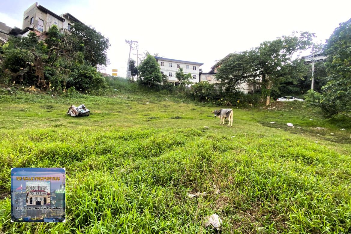 Land for Sale in Babag, Cebu City, Cebu