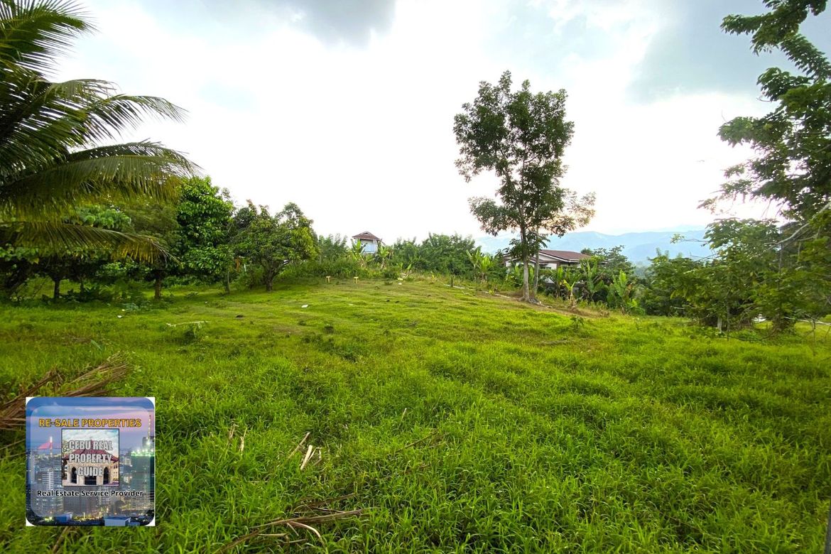 Land for Sale in Babag, Cebu City, Cebu – photo 5