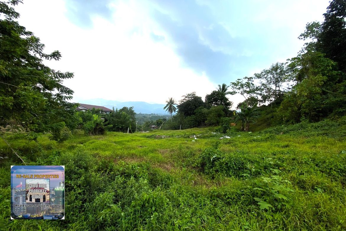 Land for Sale in Babag, Cebu City, Cebu – photo 6