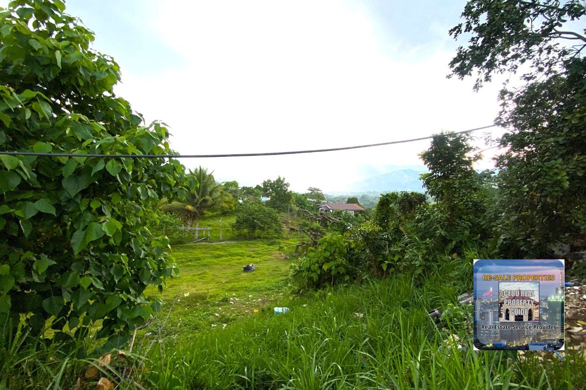 Land for Sale in Babag, Cebu City, Cebu – photo 8