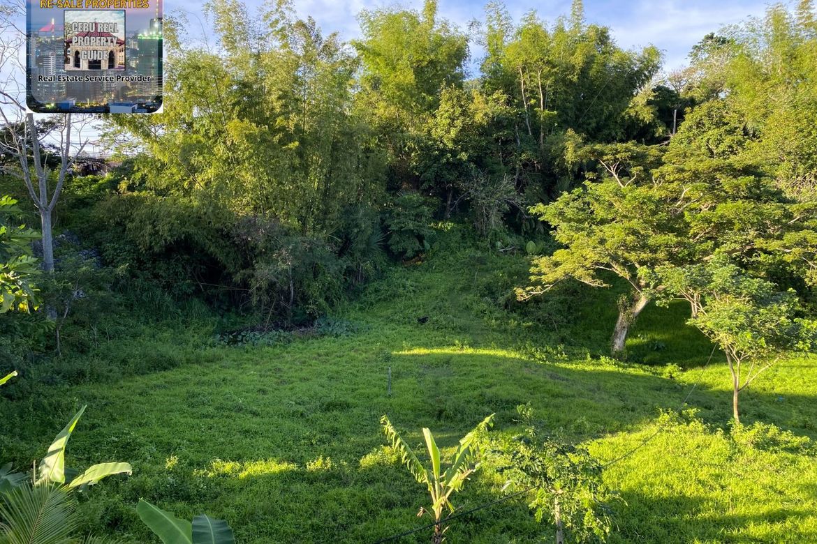 Land for Sale in Babag, Lapu-Lapu, Cebu – photo 3
