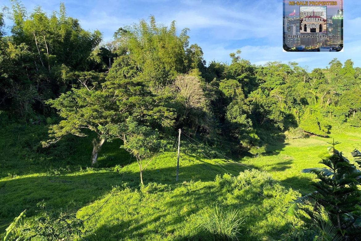 Land for Sale in Babag, Lapu-Lapu, Cebu – photo 4