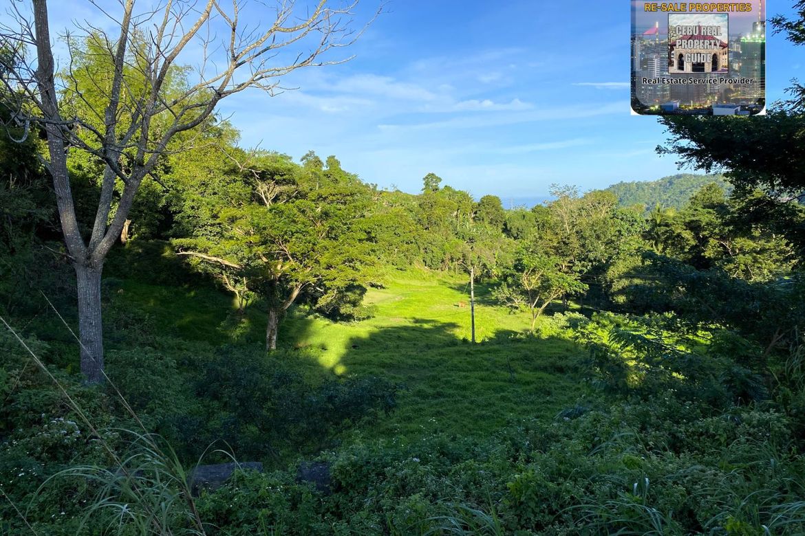 Land for Sale in Babag, Lapu-Lapu, Cebu – photo 5