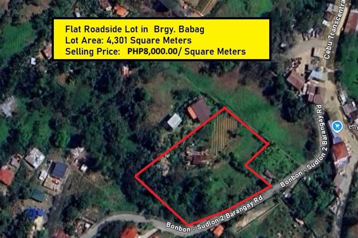 Land for Sale in Babag, Lapu-Lapu, Cebu – photo 3
