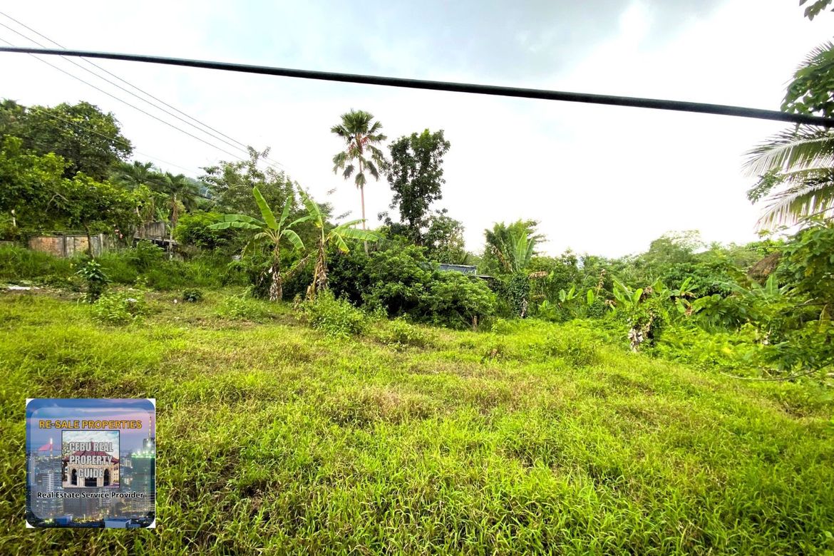 Land for Sale in Babag, Lapu-Lapu, Cebu – photo 6