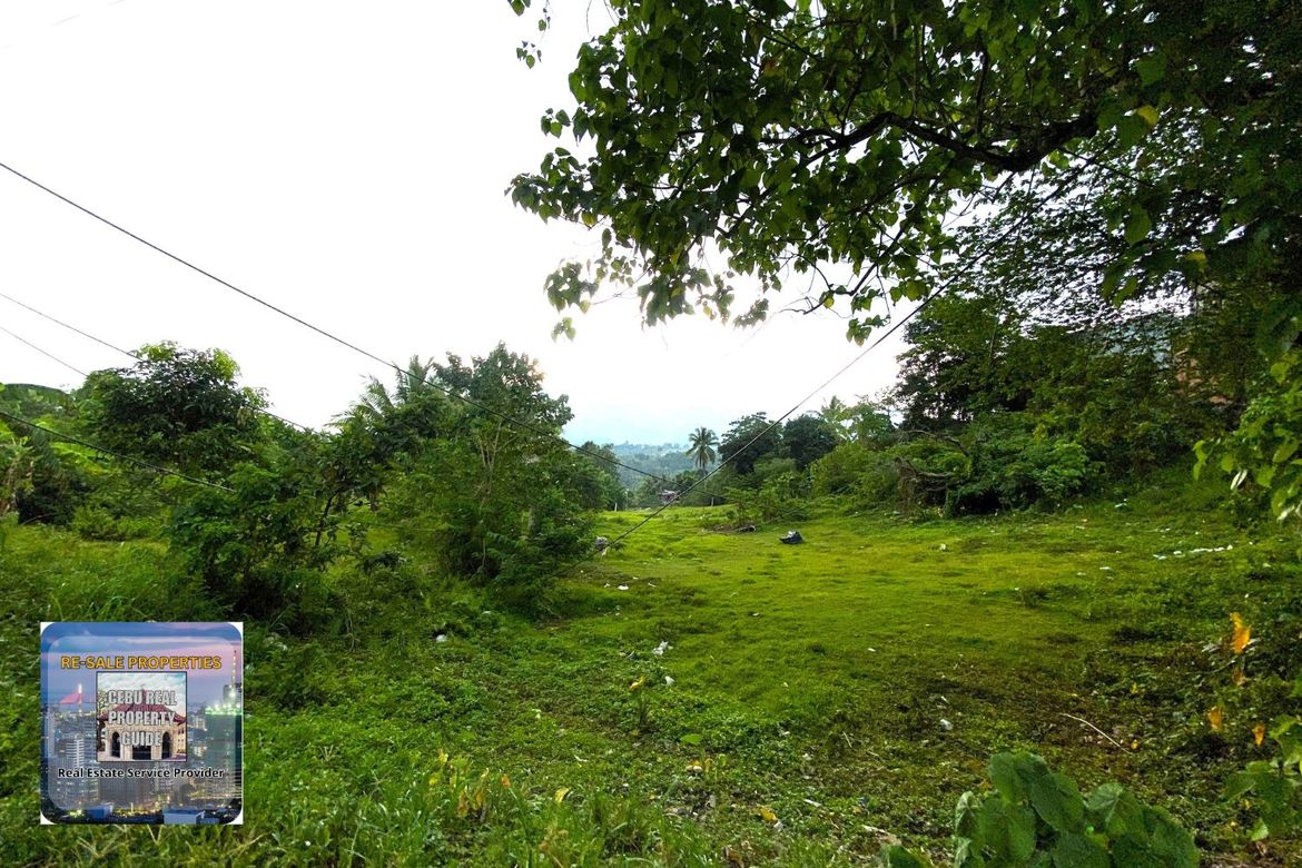 Land for Sale in Babag, Lapu-Lapu, Cebu – photo 8