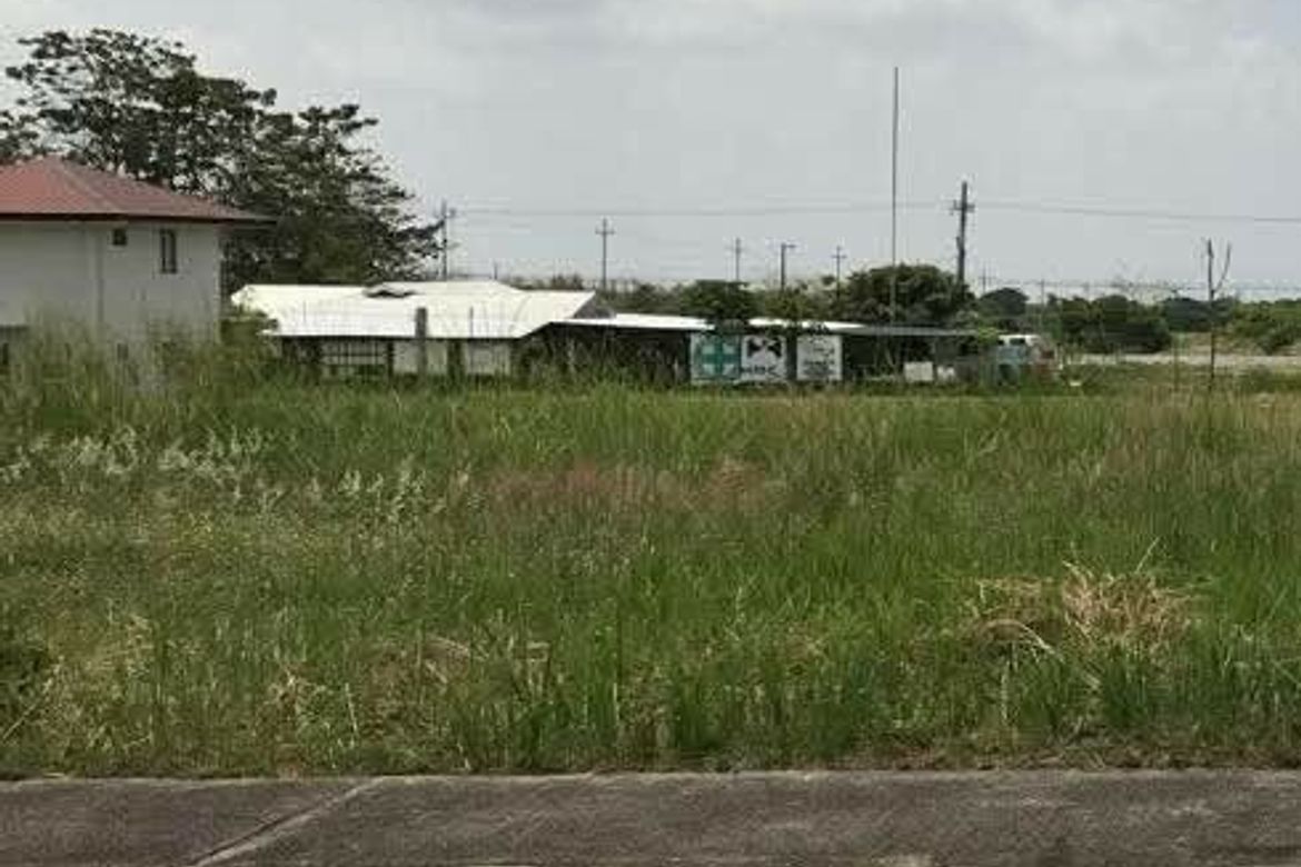 Land for Sale in Babo Sacan, Porac, Pampanga – photo 4