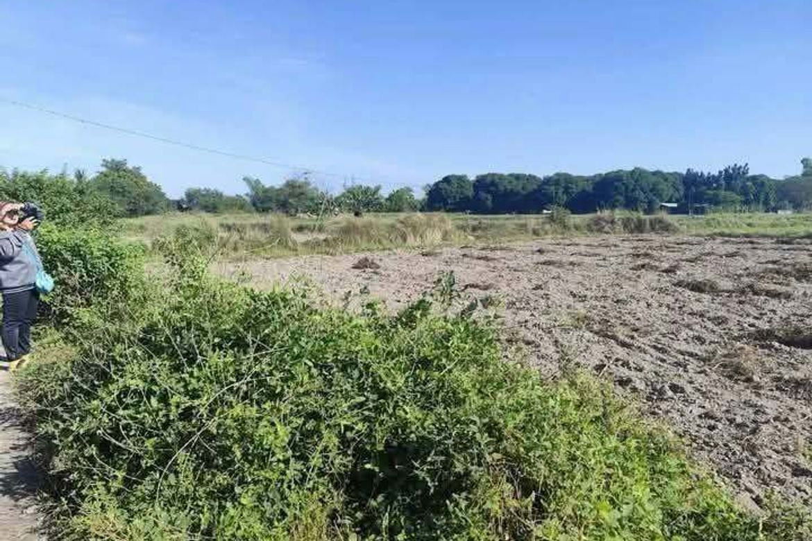 Land for Sale in Babo Sacan, Porac, Pampanga