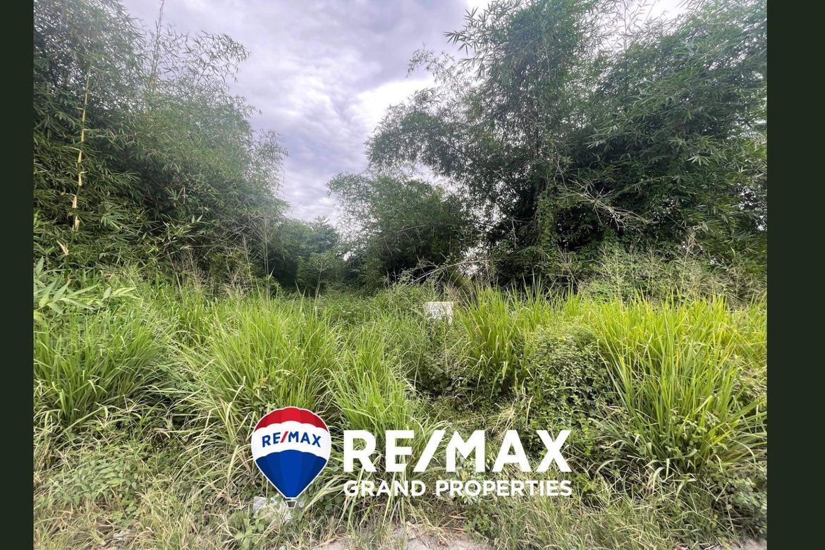 Land for Sale in Babo Sacan, Porac, Pampanga – photo 2